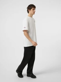 Футболки і поло The North Face M DRIP LOGO RELAXED SHORT SLEE модель NF0A8GABFN41 Фото