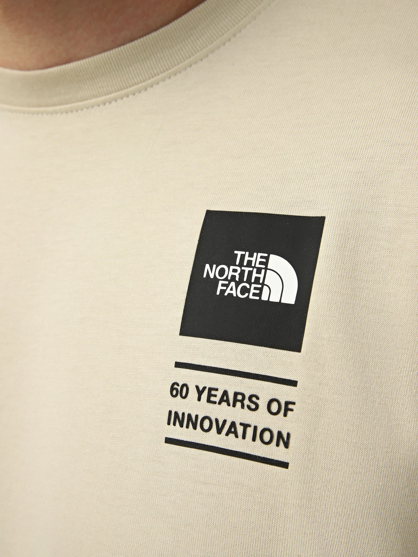 Футболки и поло The North Face M ICON CELEBRATION REGULAR SHO модель NF0A8GASDOM1 Футболки и поло The North Face M ICON CELEBRATION REGULAR SHO модель NF0A8GASDOM1 Фото