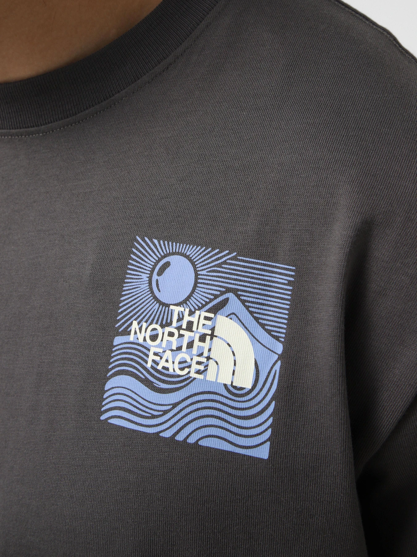 Футболки и поло The North Face M MOUNTAIN ESCAPE RELAXED SHOR модель NF0A8GB1RHI1 Футболки и поло The North Face M MOUNTAIN ESCAPE RELAXED SHOR модель NF0A8GB1RHI1 Фото