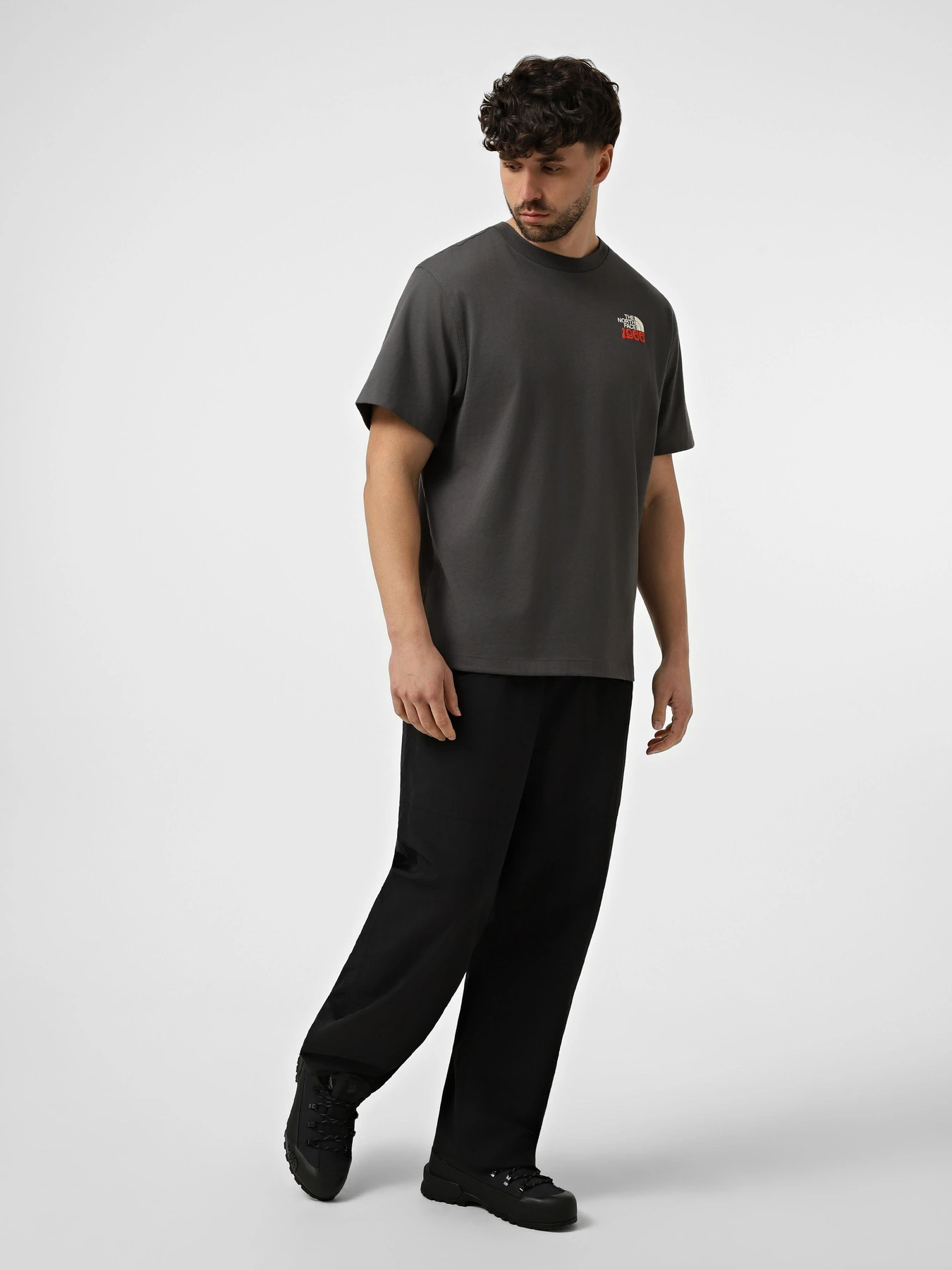 Футболки и поло The North Face M 1966 FLORA RELAXED SHORT SLE модель NF0A8GB2RHI1 Футболки и поло The North Face M 1966 FLORA RELAXED SHORT SLE модель NF0A8GB2RHI1 Фото