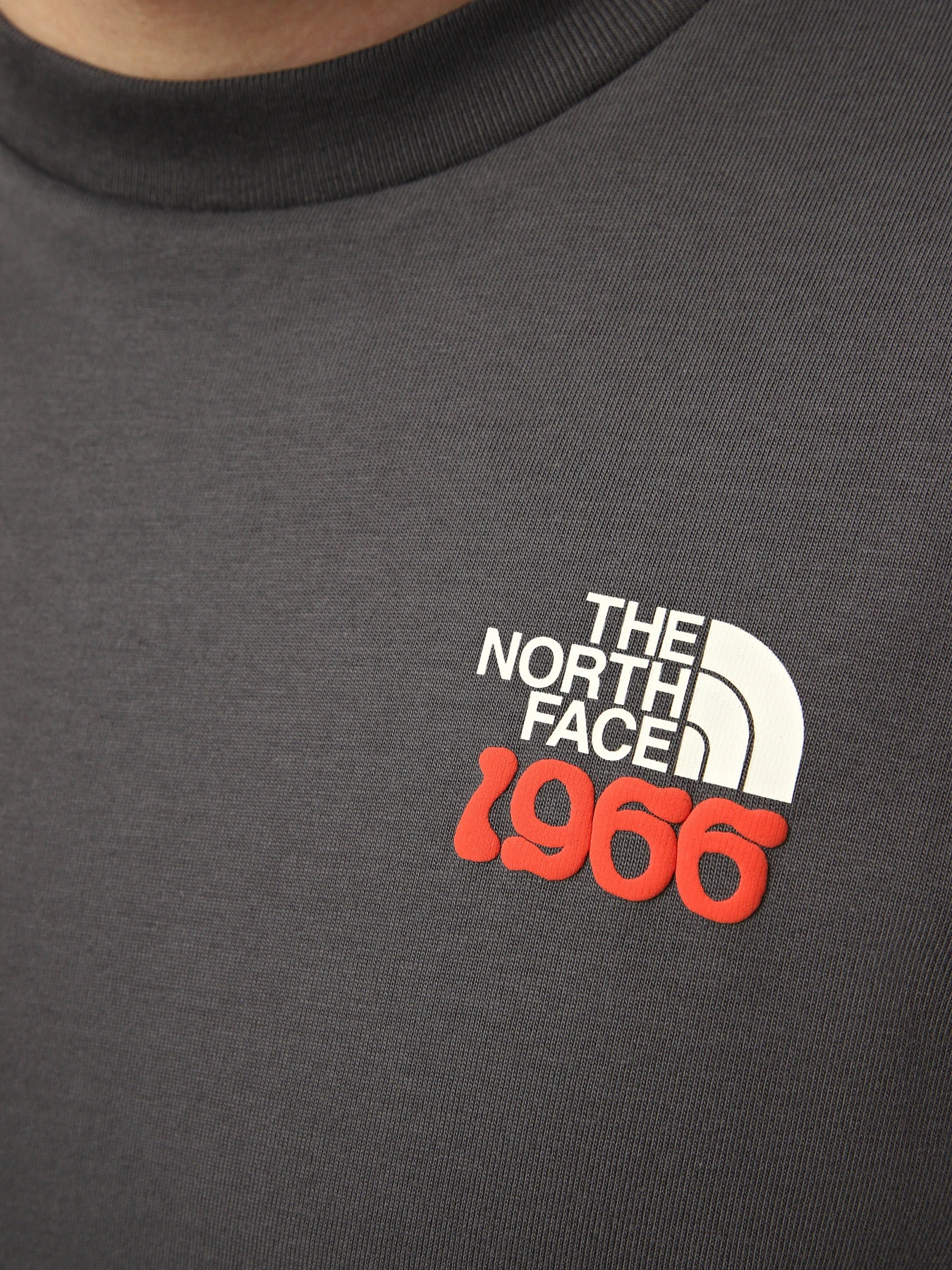 Футболки и поло The North Face M 1966 FLORA RELAXED SHORT SLE модель NF0A8GB2RHI1 Футболки и поло The North Face M 1966 FLORA RELAXED SHORT SLE модель NF0A8GB2RHI1 Фото