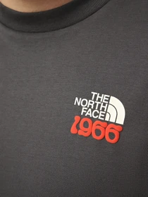 Футболки и поло The North Face M 1966 FLORA RELAXED SHORT SLE модель NF0A8GB2RHI1 Фото