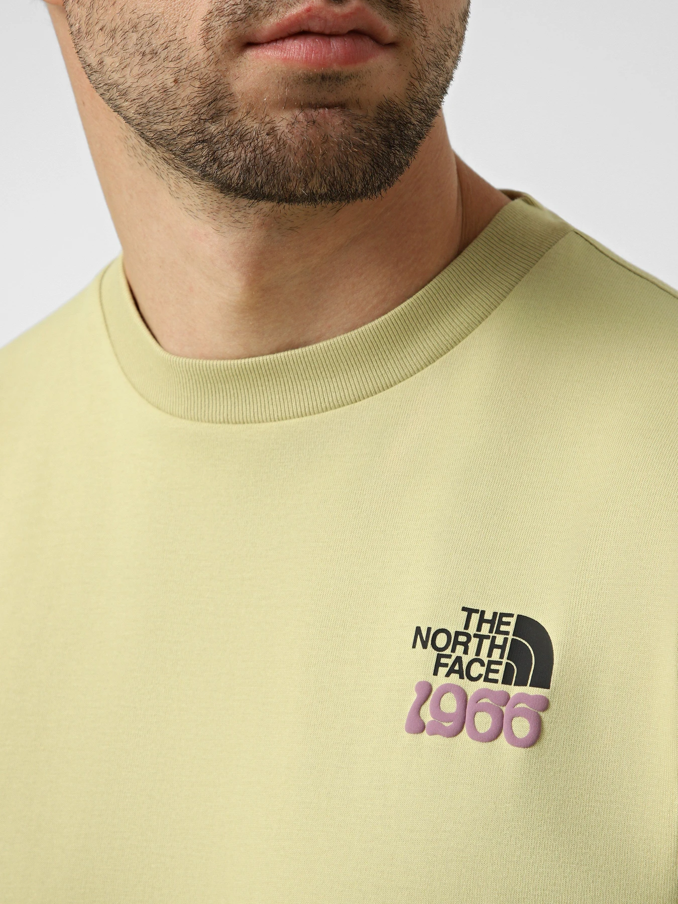 Футболки и поло The North Face M 1966 FLORA RELAXED SHORT SLE модель NF0A8GB2G731 Футболки и поло The North Face M 1966 FLORA RELAXED SHORT SLE модель NF0A8GB2G731 Фото