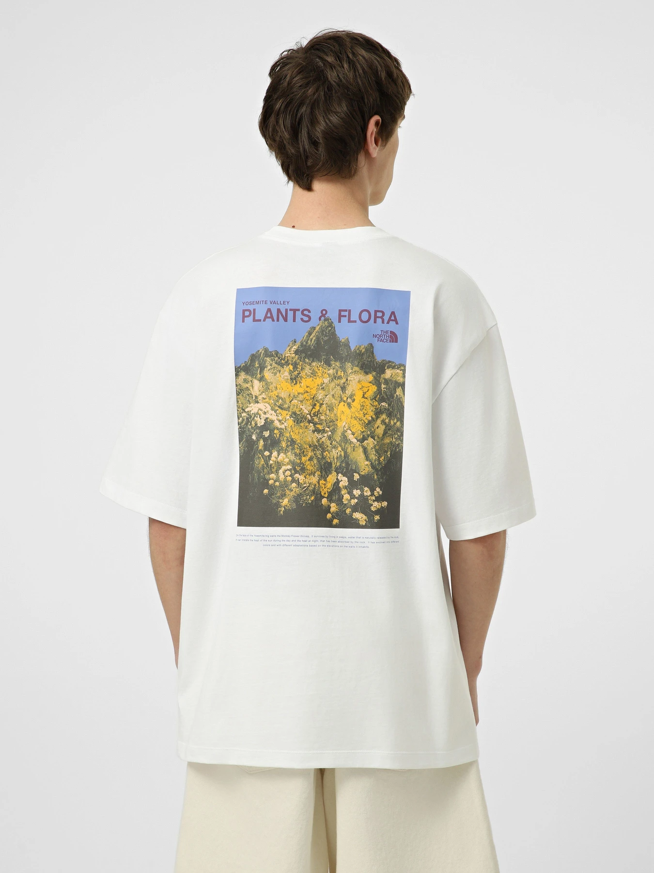 Футболки и поло The North Face M PLANT & FLORA OVERSIZE SHORT модель NF0A8GB3FN41 Футболки и поло The North Face M PLANT & FLORA OVERSIZE SHORT модель NF0A8GB3FN41 Фото