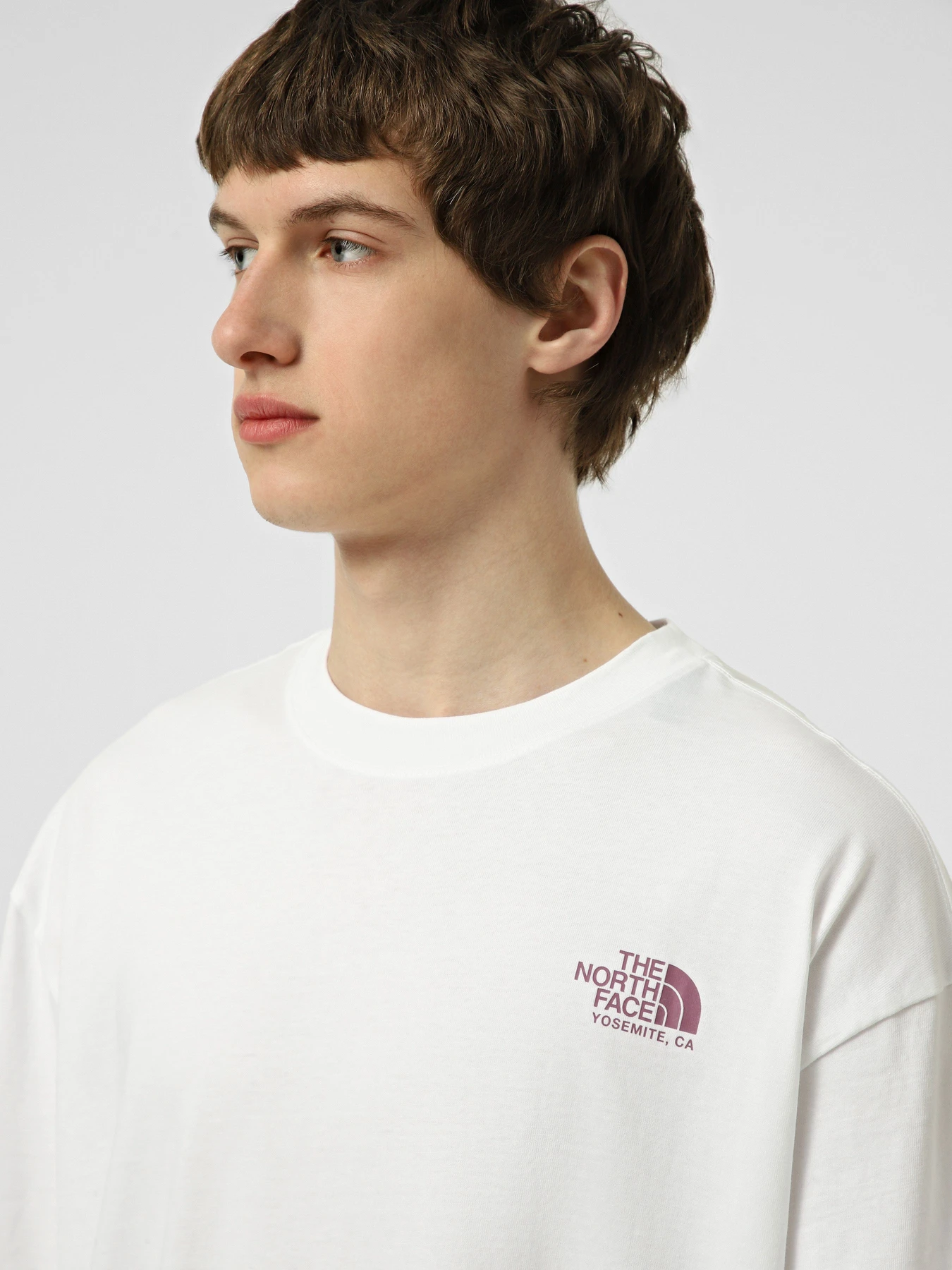 Футболки и поло The North Face M PLANT & FLORA OVERSIZE SHORT модель NF0A8GB3FN41 Футболки и поло The North Face M PLANT & FLORA OVERSIZE SHORT модель NF0A8GB3FN41 Фото