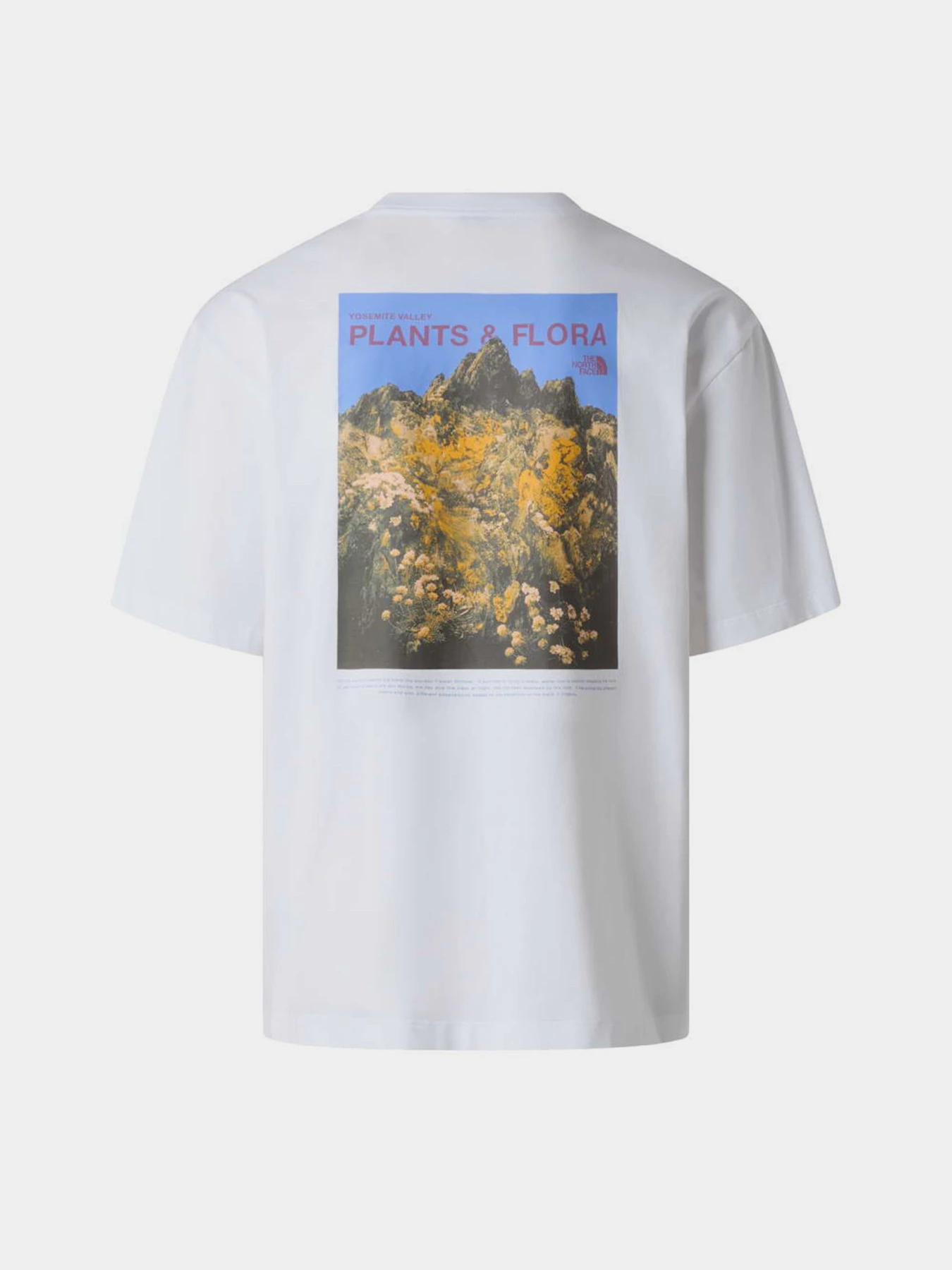 Футболки и поло The North Face M PLANT & FLORA OVERSIZE SHORT модель NF0A8GB3FN41 Футболки и поло The North Face M PLANT & FLORA OVERSIZE SHORT модель NF0A8GB3FN41 Фото