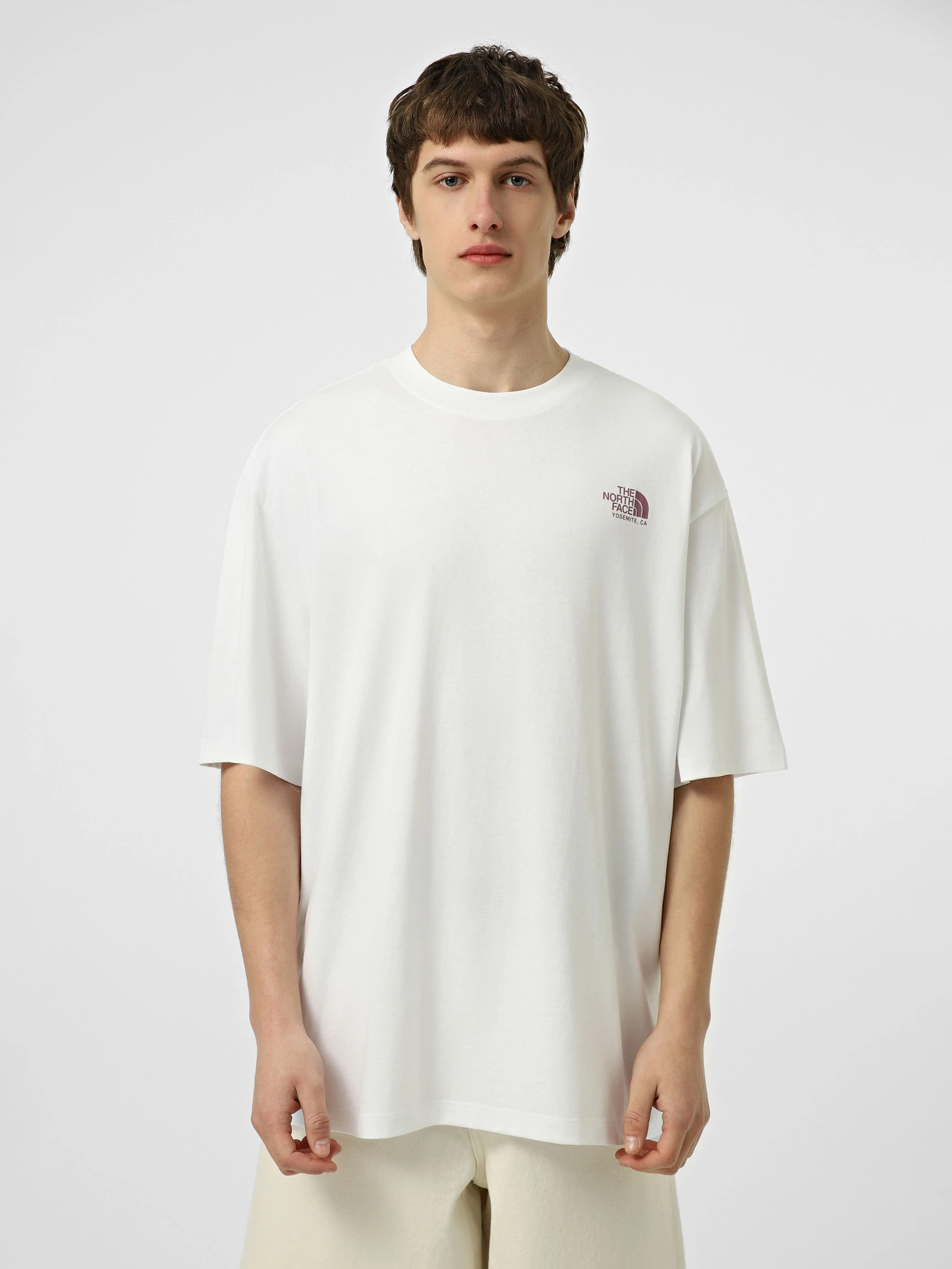 Футболки и поло The North Face M PLANT & FLORA OVERSIZE SHORT модель NF0A8GB3FN41 Футболки и поло The North Face M PLANT & FLORA OVERSIZE SHORT модель NF0A8GB3FN41 Фото