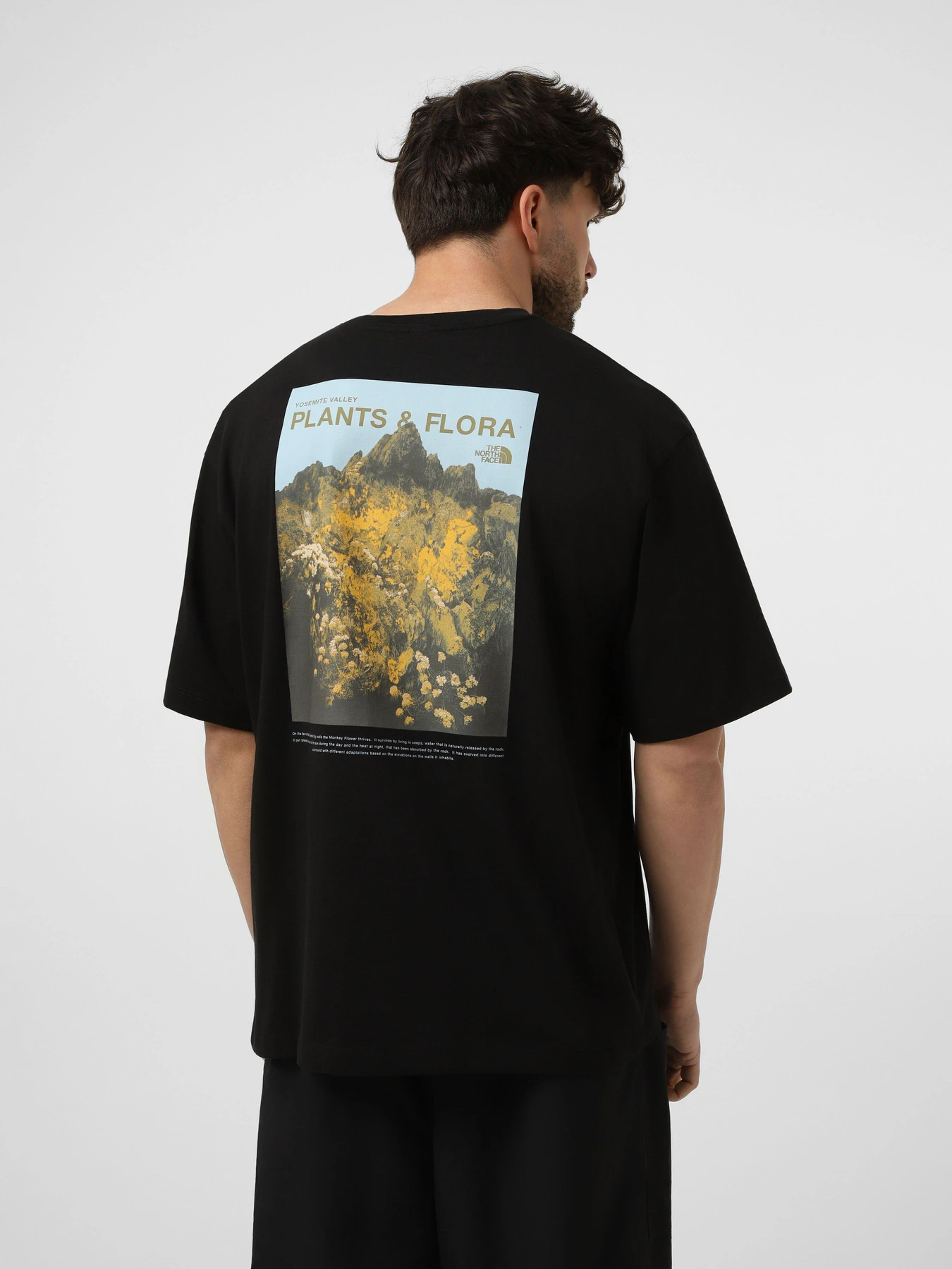 Футболки і поло The North Face M PLANT & FLORA OVERSIZE SHORT модель NF0A8GB3JK31 Футболки і поло The North Face M PLANT & FLORA OVERSIZE SHORT модель NF0A8GB3JK31 Фото