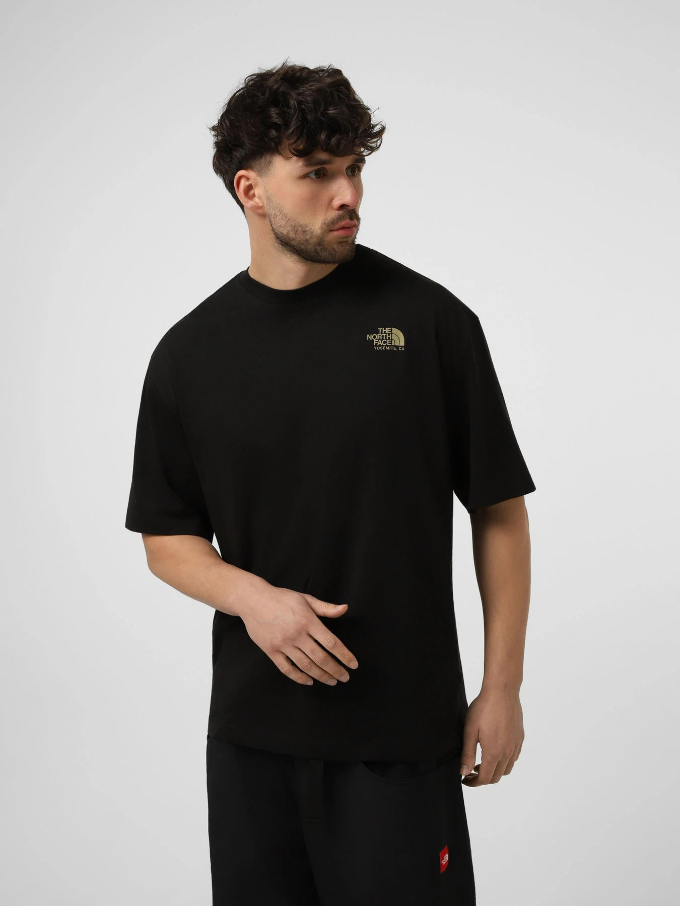 Футболки і поло The North Face M PLANT & FLORA OVERSIZE SHORT модель NF0A8GB3JK31 Футболки і поло The North Face M PLANT & FLORA OVERSIZE SHORT модель NF0A8GB3JK31 Фото