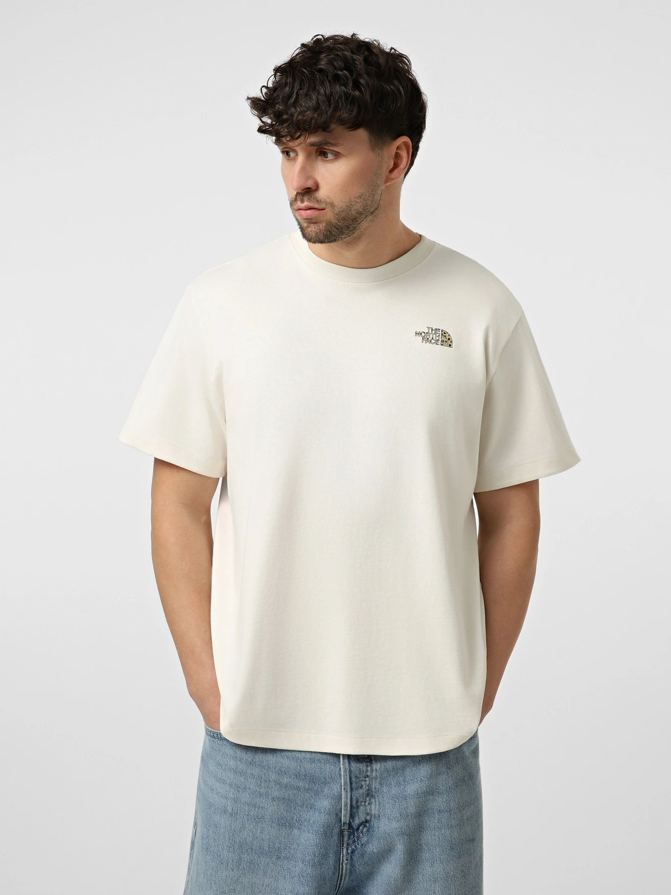 Футболки і поло The North Face M TNF SNACK  RELAXED SHORT SLE модель NF0A8GB4QLI1 Фото