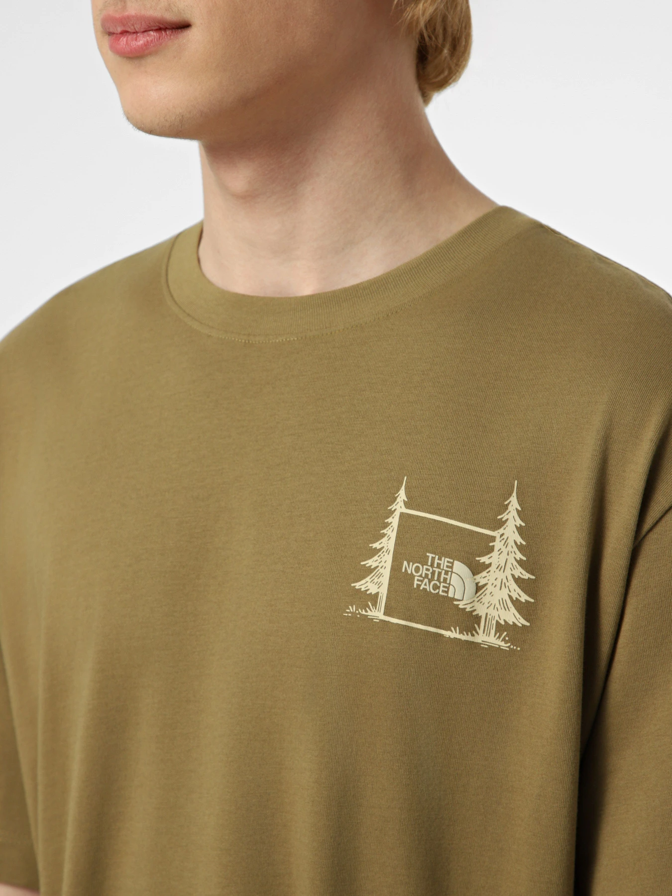 Футболки и поло The North Face M CAMPING RELAXED SHORT SLEEVE модель NF0A8GQM2EL1 Футболки и поло The North Face M CAMPING RELAXED SHORT SLEEVE модель NF0A8GQM2EL1 Фото