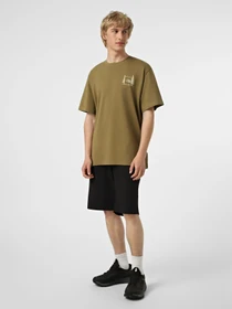 Футболки и поло The North Face M CAMPING RELAXED SHORT SLEEVE модель NF0A8GQM2EL1 Фото