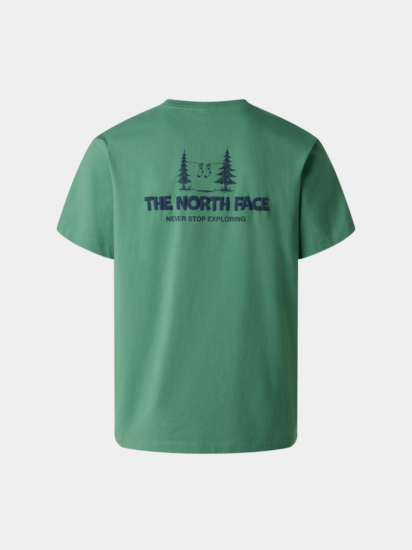 Футболки і поло The North Face M CAMPING RELAXED SHORT SLEEVE модель NF0A8GQMG571 Фото