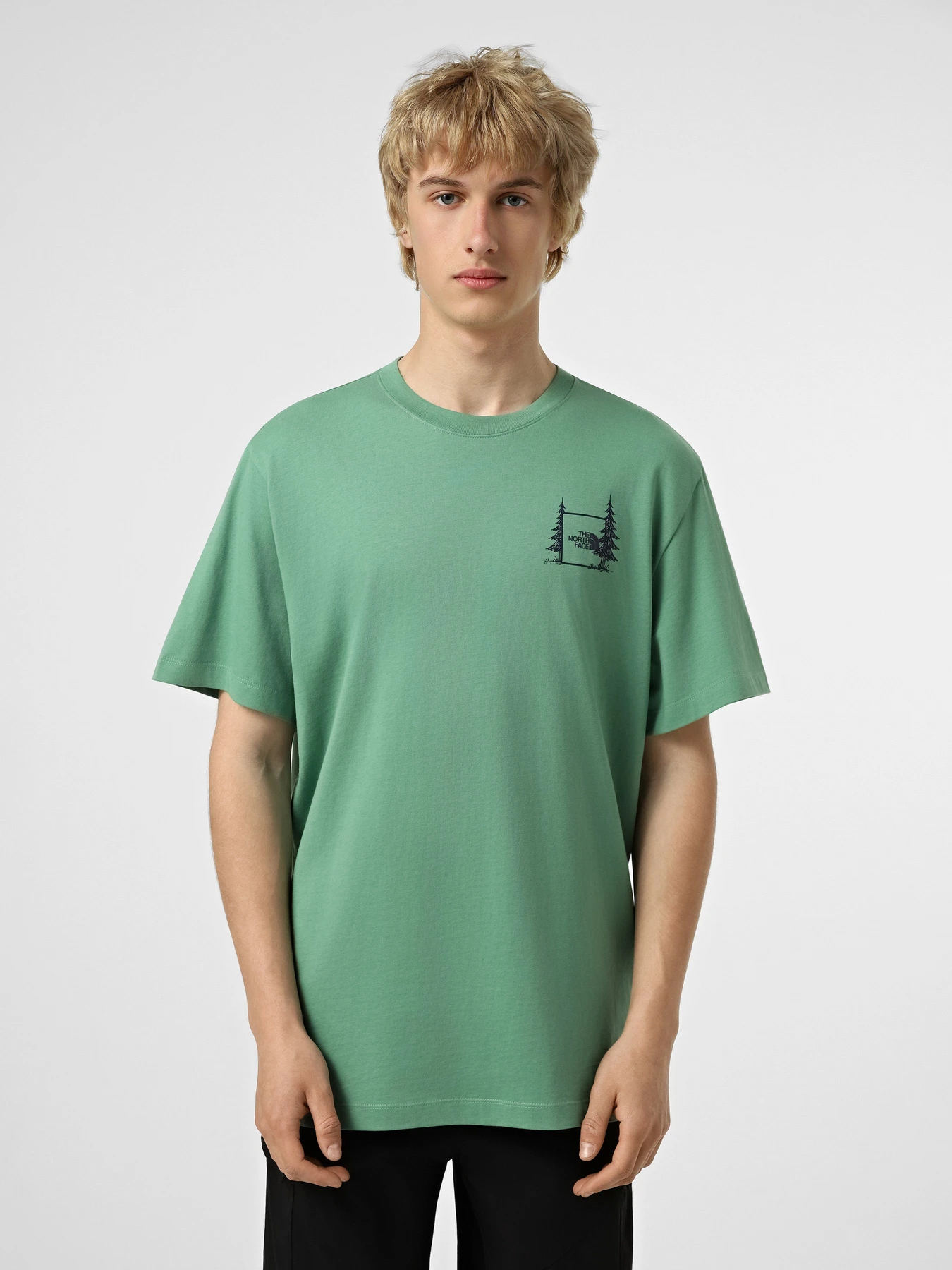Футболки і поло The North Face M CAMPING RELAXED SHORT SLEEVE модель NF0A8GQMG571 Фото