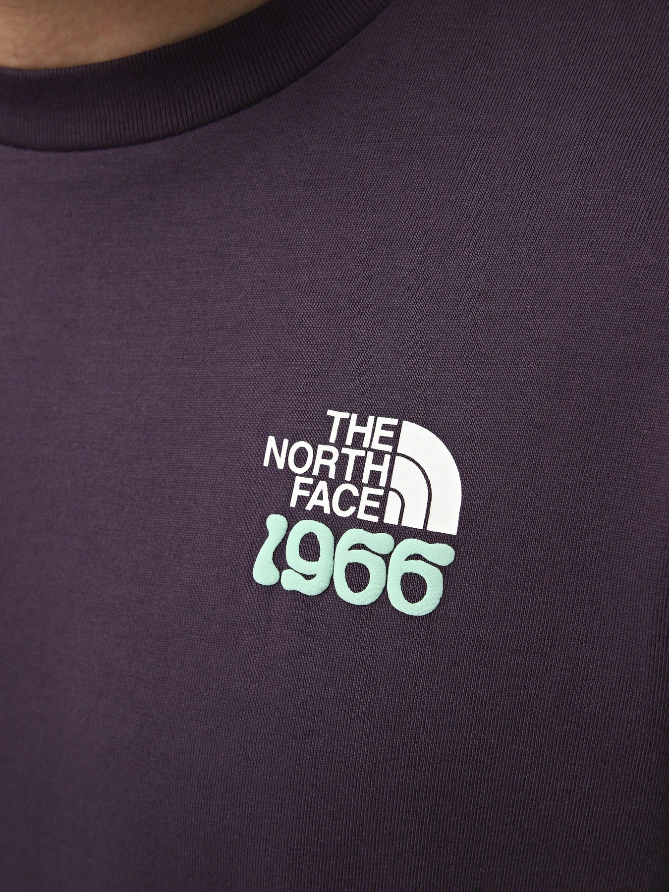 Футболки і поло The North Face M 1966 TNF RELAXED SHORT SLEEV модель NF0A8GQUG5O1 Футболки і поло The North Face M 1966 TNF RELAXED SHORT SLEEV модель NF0A8GQUG5O1 Фото