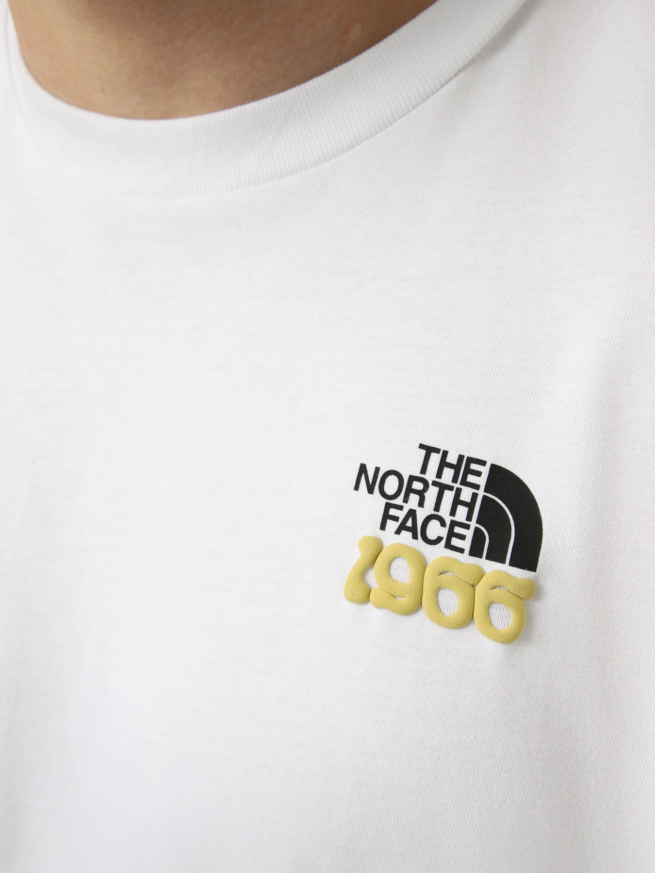 Футболки і поло The North Face M 1966 TNF RELAXED SHORT SLEEV модель NF0A8GQUFN41 Фото