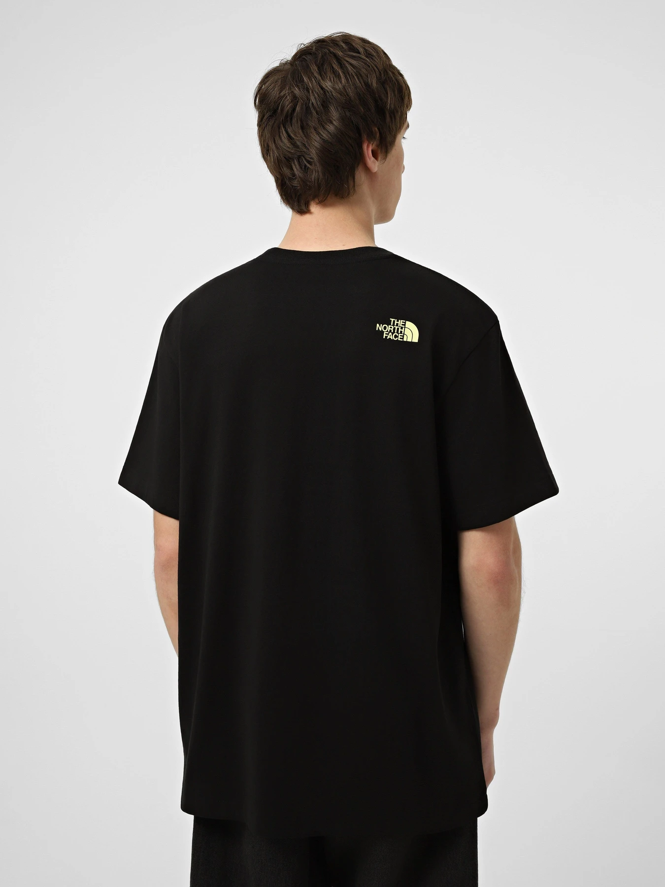 Футболки і поло The North Face M LOGO TWIST RELAXED SHORT SLE модель NF0A8GQVJK31 Фото