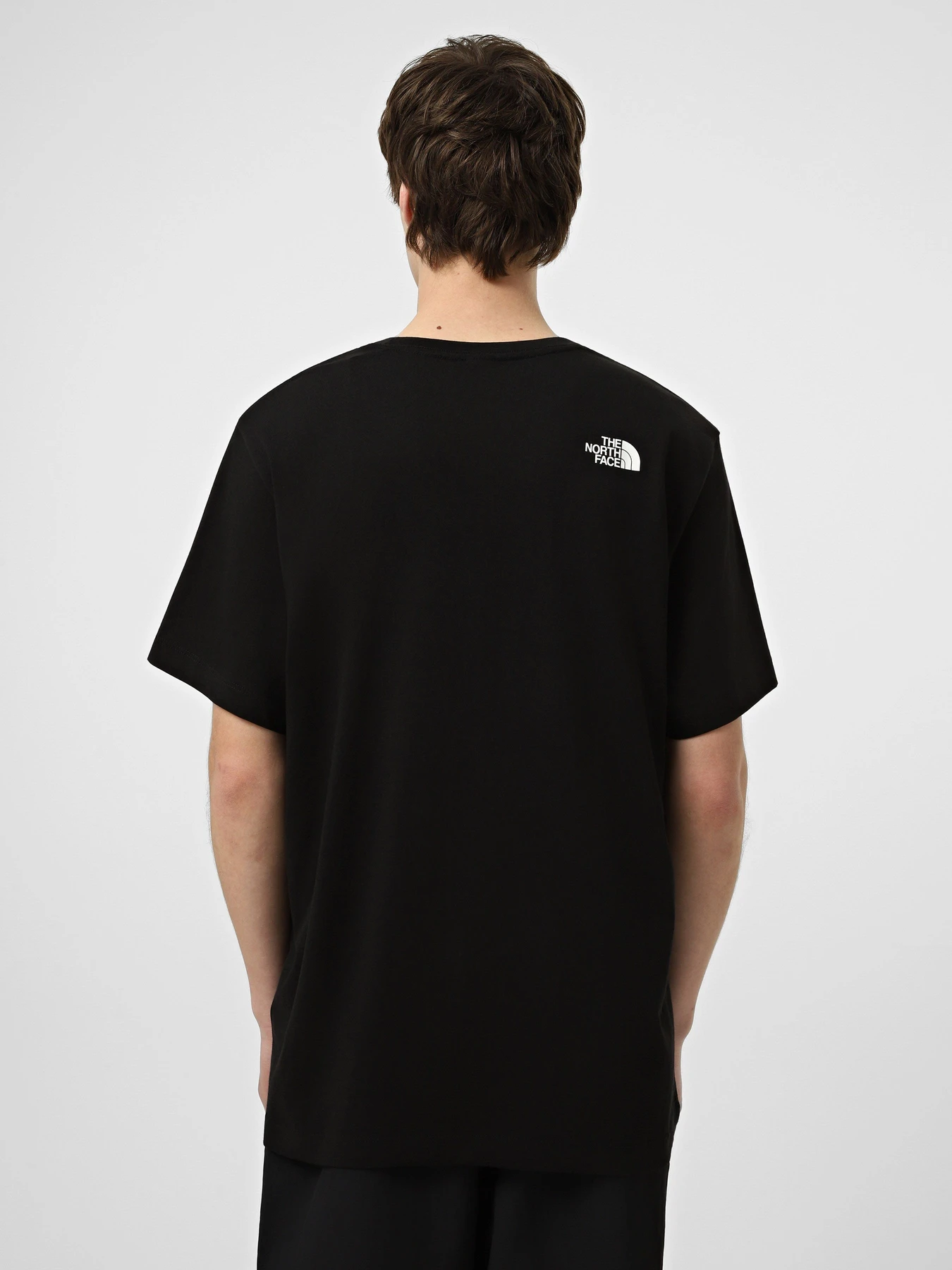 Футболки і поло The North Face M MOUNTAIN LOGO RELAXED SHORT модель NF0A8GUUJK31 Футболки і поло The North Face M MOUNTAIN LOGO RELAXED SHORT модель NF0A8GUUJK31 Фото