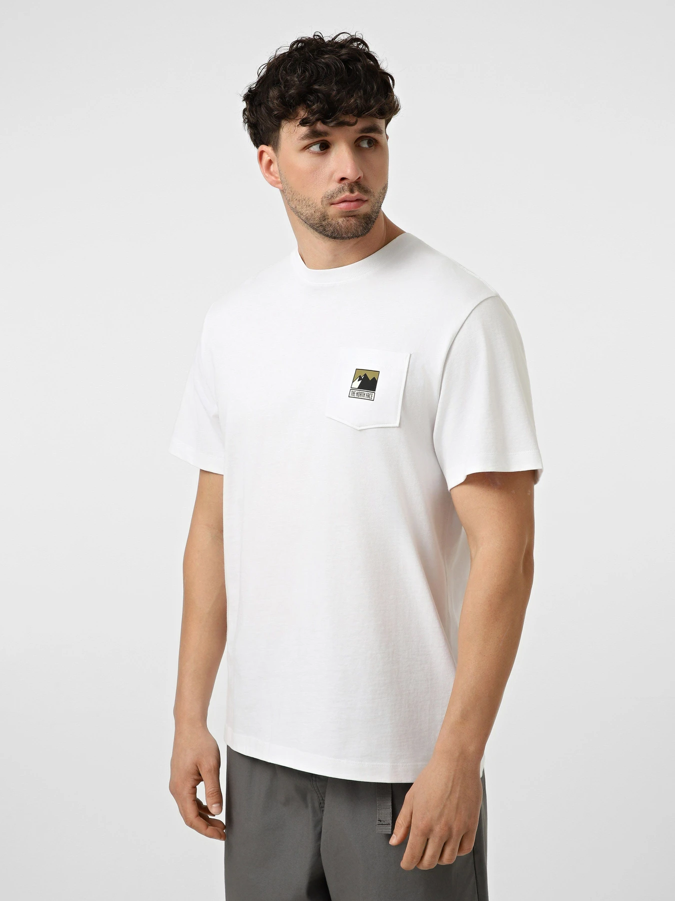 Футболки і поло The North Face M MOUNTAIN LOGO RELAXED SHORT модель NF0A8GUUFN41 Футболки і поло The North Face M MOUNTAIN LOGO RELAXED SHORT модель NF0A8GUUFN41 Фото
