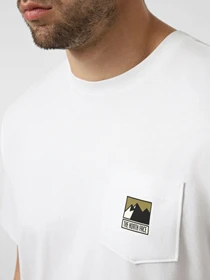 Футболки і поло The North Face M MOUNTAIN LOGO RELAXED SHORT модель NF0A8GUUFN41 Фото
