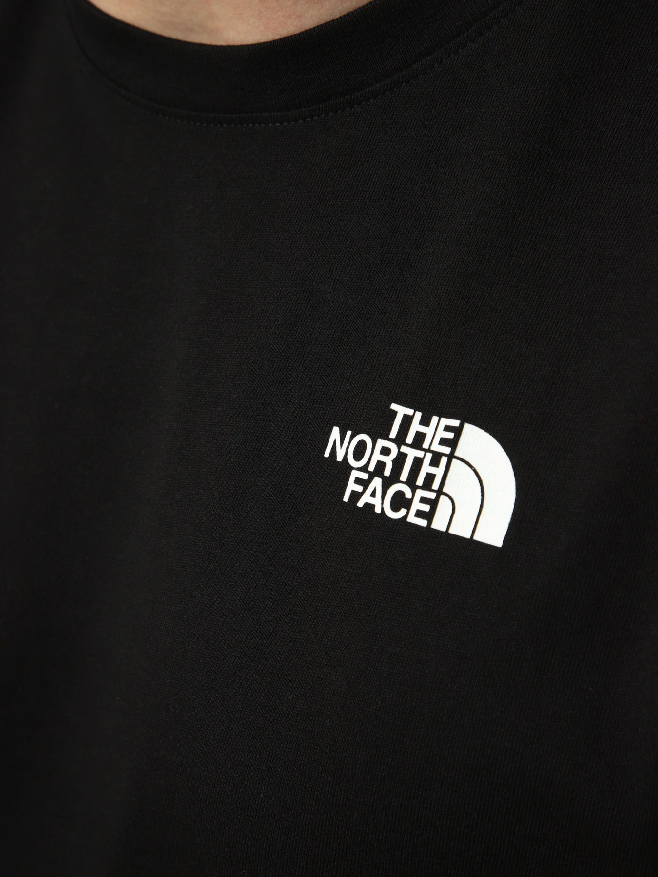 Футболки і поло The North Face M NORTH FACES REGULAR SHORT SL модель NF0A8GUWJK31 Футболки і поло The North Face M NORTH FACES REGULAR SHORT SL модель NF0A8GUWJK31 Фото