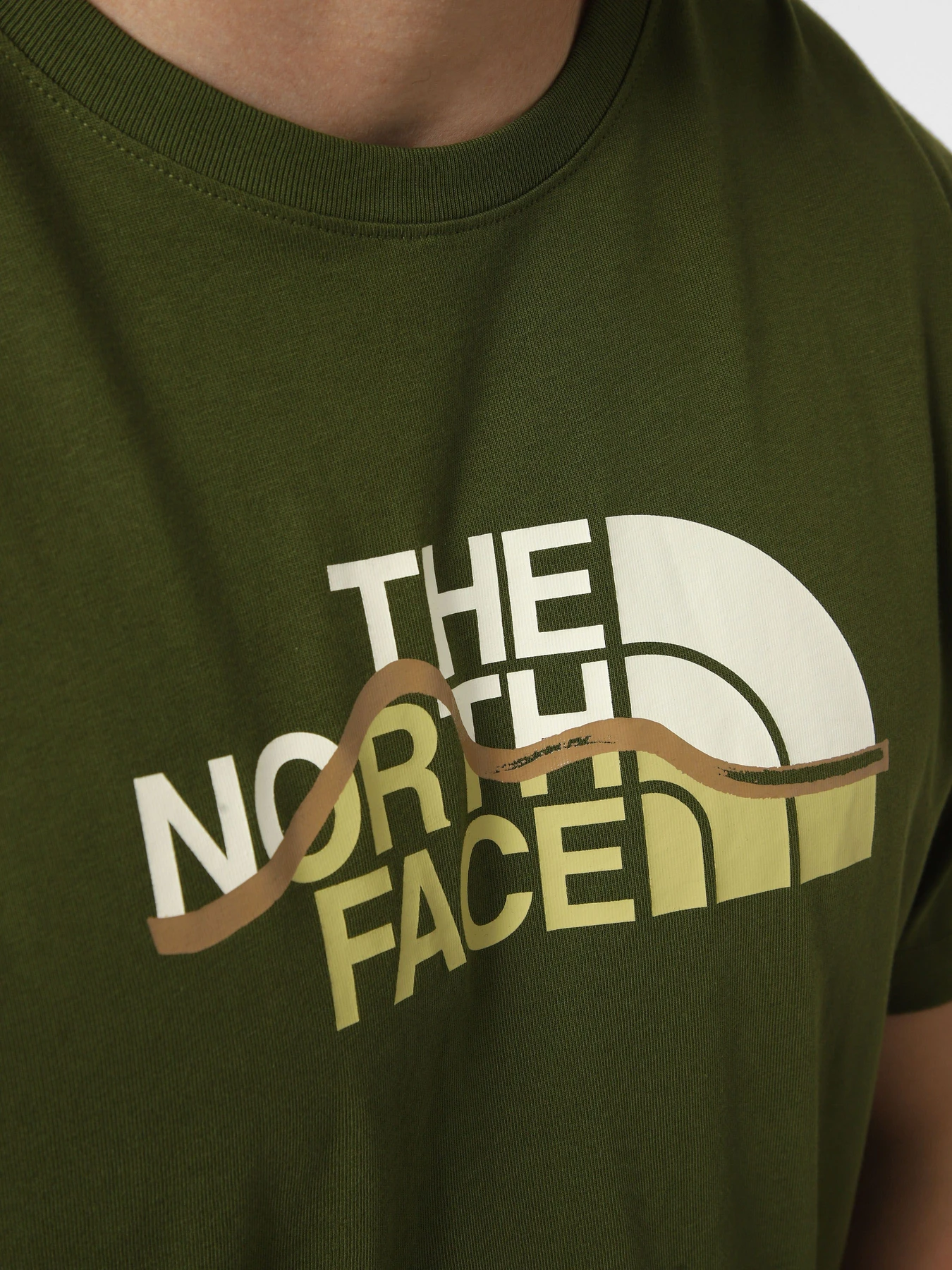 Футболки і поло The North Face M MOUNTAIN LINE REGULAR SHORT модель NF0A8GUXBRI1 Футболки і поло The North Face M MOUNTAIN LINE REGULAR SHORT модель NF0A8GUXBRI1 Фото