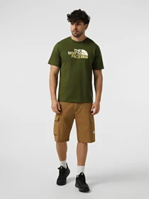 Футболки і поло The North Face M MOUNTAIN LINE REGULAR SHORT модель NF0A8GUXBRI1 Фото