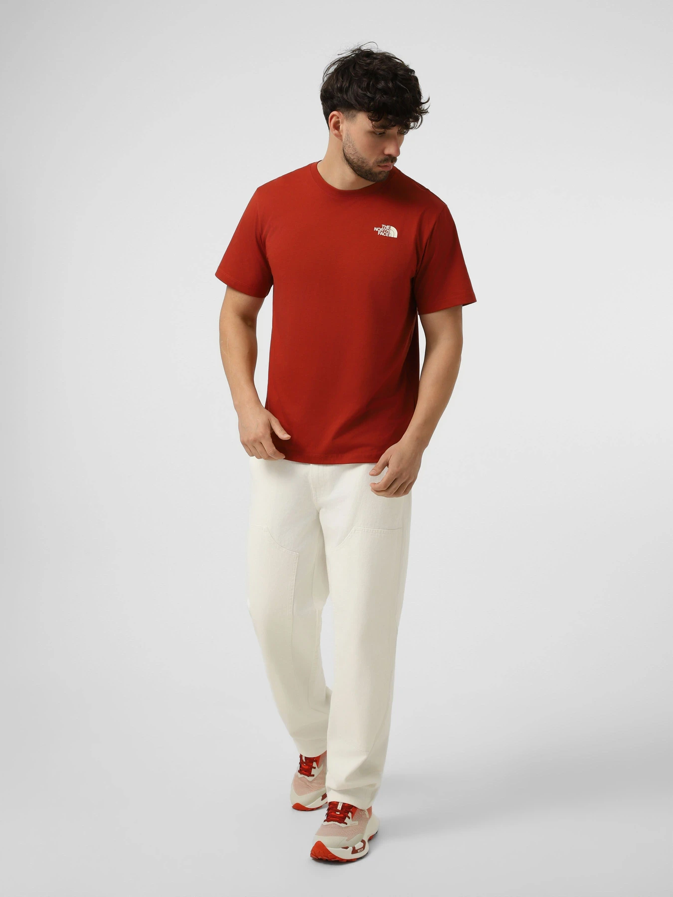 Футболки і поло The North Face M VERTICAL REGULAR SHORT SLEEV модель NF0A8GV1G6I1 Футболки і поло The North Face M VERTICAL REGULAR SHORT SLEEV модель NF0A8GV1G6I1 Фото
