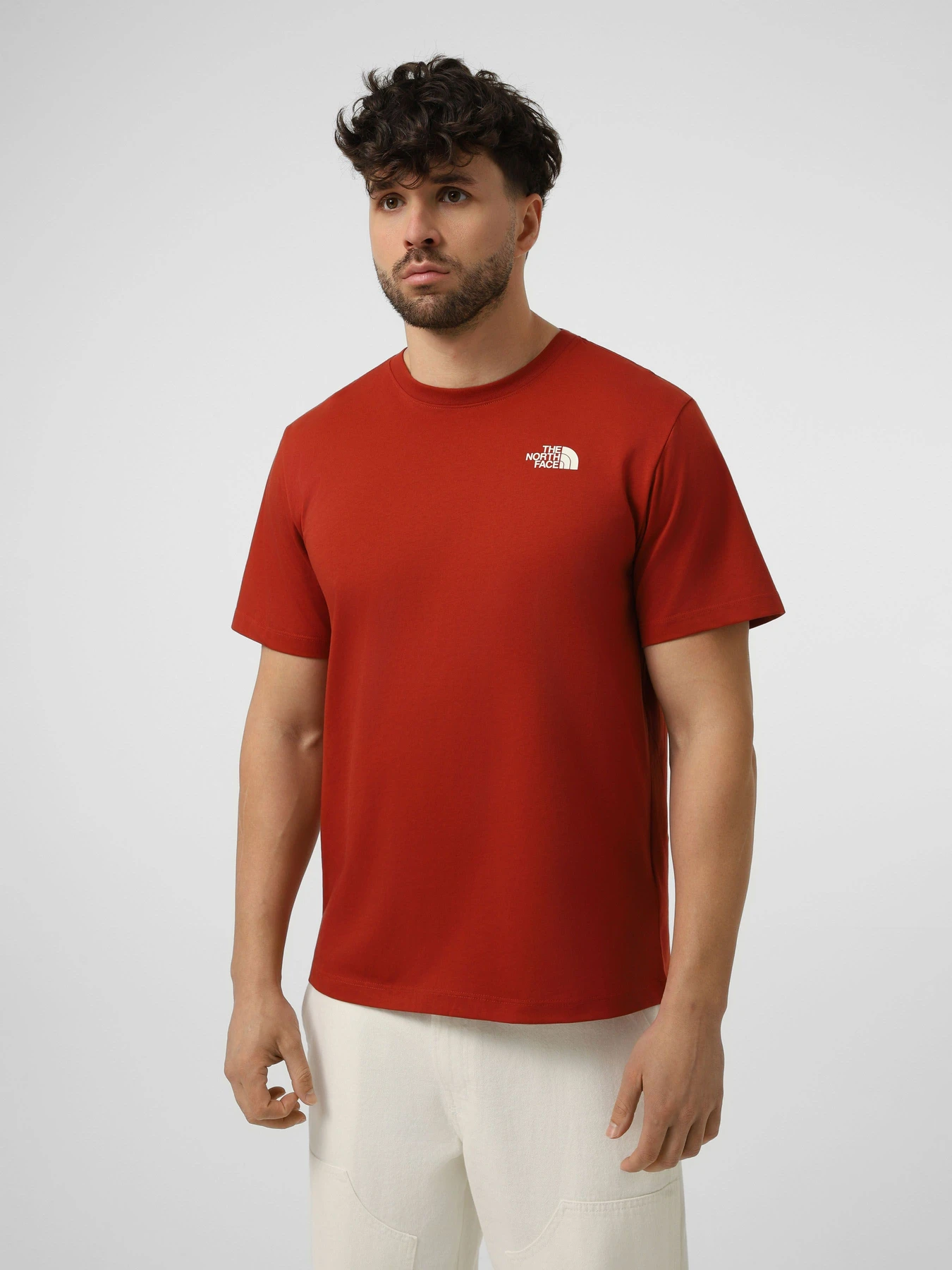 Футболки і поло The North Face M VERTICAL REGULAR SHORT SLEEV модель NF0A8GV1G6I1 Футболки і поло The North Face M VERTICAL REGULAR SHORT SLEEV модель NF0A8GV1G6I1 Фото