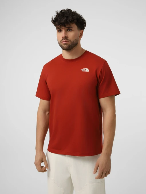 Футболки і поло The North Face M VERTICAL REGULAR SHORT SLEEV модель NF0A8GV1G6I1 Фото