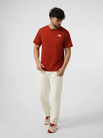 Футболки і поло The North Face M VERTICAL REGULAR SHORT SLEEV модель NF0A8GV1G6I1 Фото