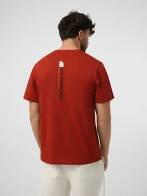 Футболки і поло The North Face M VERTICAL REGULAR SHORT SLEEV модель NF0A8GV1G6I1 Фото
