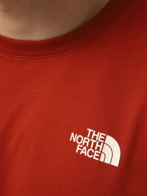 Футболки і поло The North Face M VERTICAL REGULAR SHORT SLEEV модель NF0A8GV1G6I1 Фото