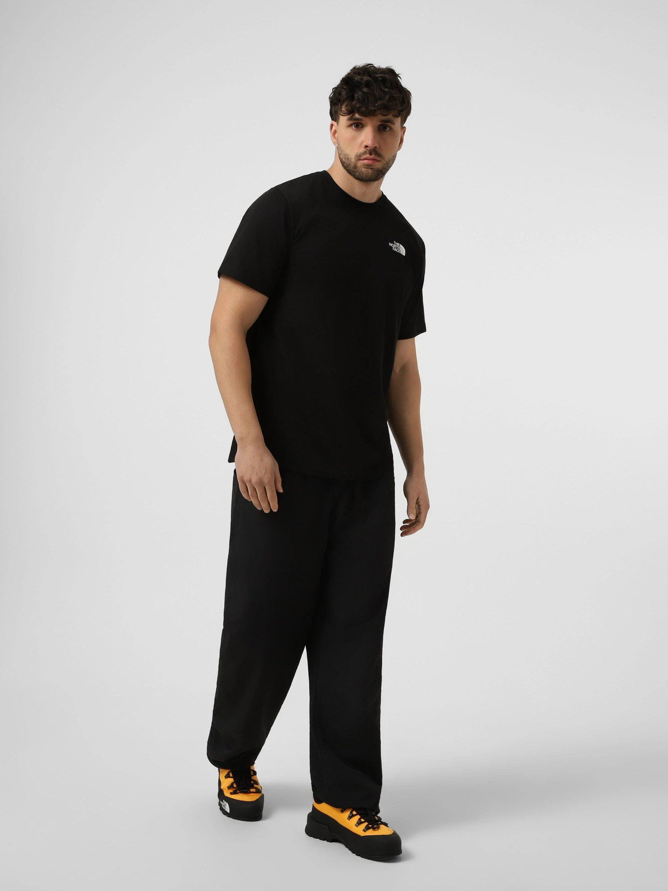 Футболки і поло The North Face M VERTICAL REGULAR SHORT SLEEV модель NF0A8GV1JK31 Фото