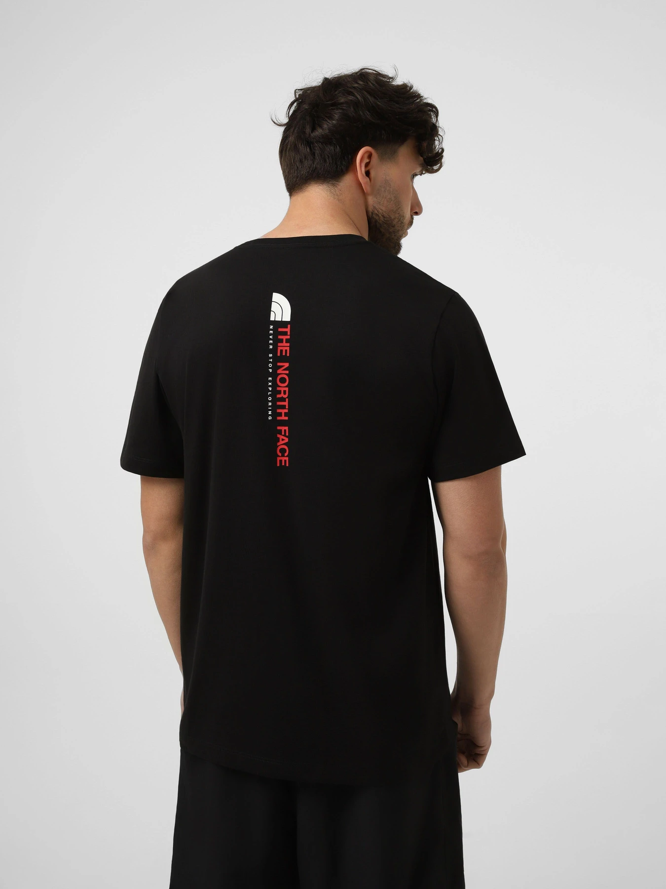 Футболки і поло The North Face M VERTICAL REGULAR SHORT SLEEV модель NF0A8GV1JK31 Фото