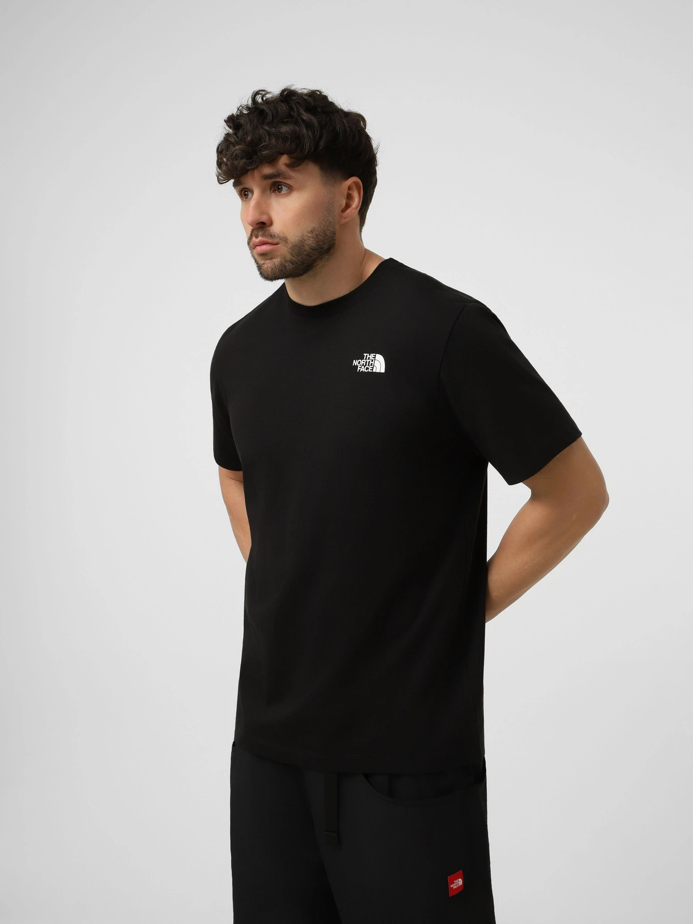 Футболки і поло The North Face M VERTICAL REGULAR SHORT SLEEV модель NF0A8GV1JK31 Фото