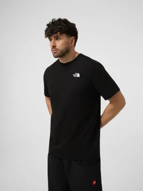 Футболки і поло The North Face M VERTICAL REGULAR SHORT SLEEV модель NF0A8GV1JK31 Фото
