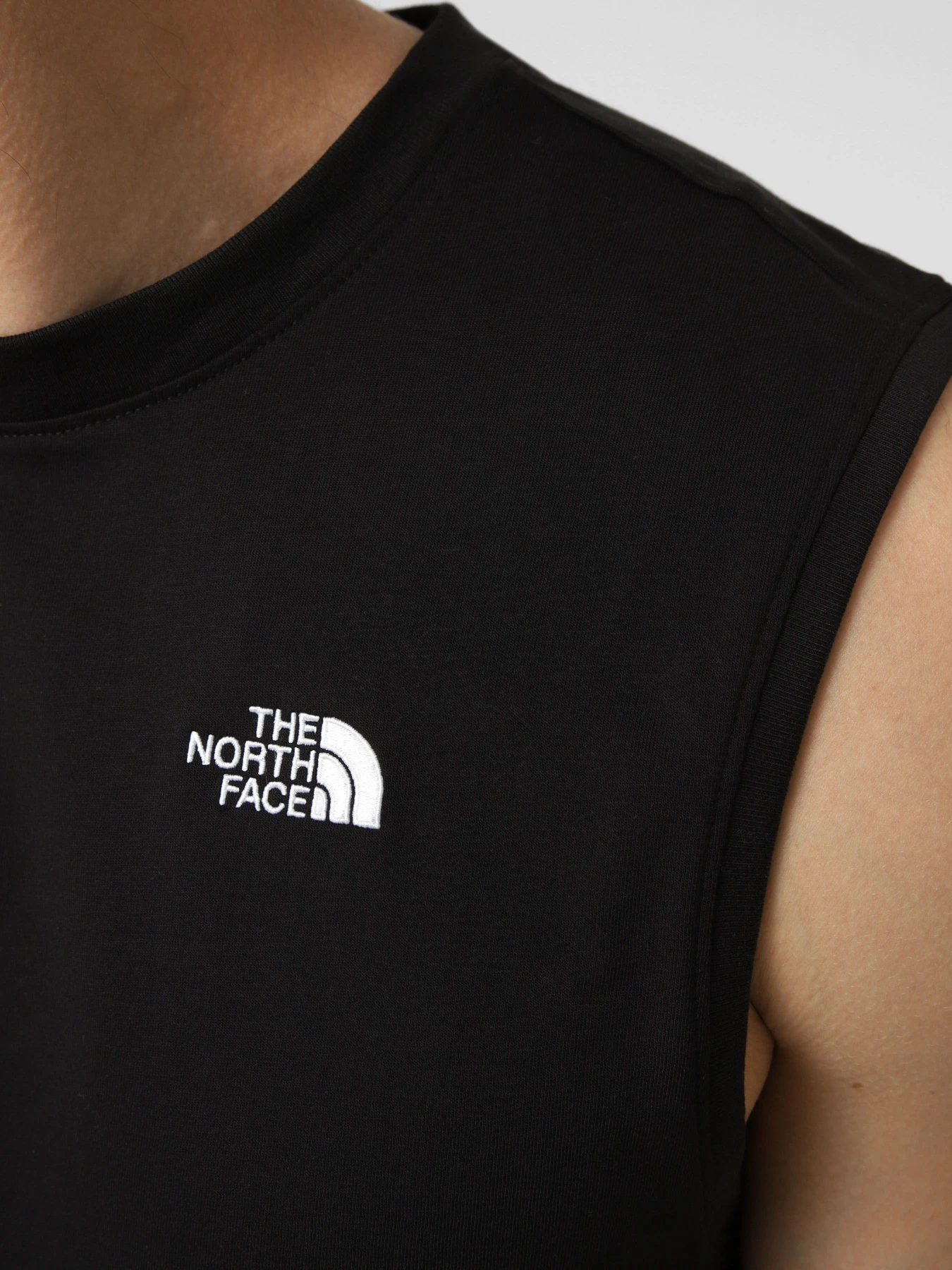 Футболки і поло The North Face M EVOLUTION SIMPLE DOME TANK модель NF0A8FD4JK31 Фото