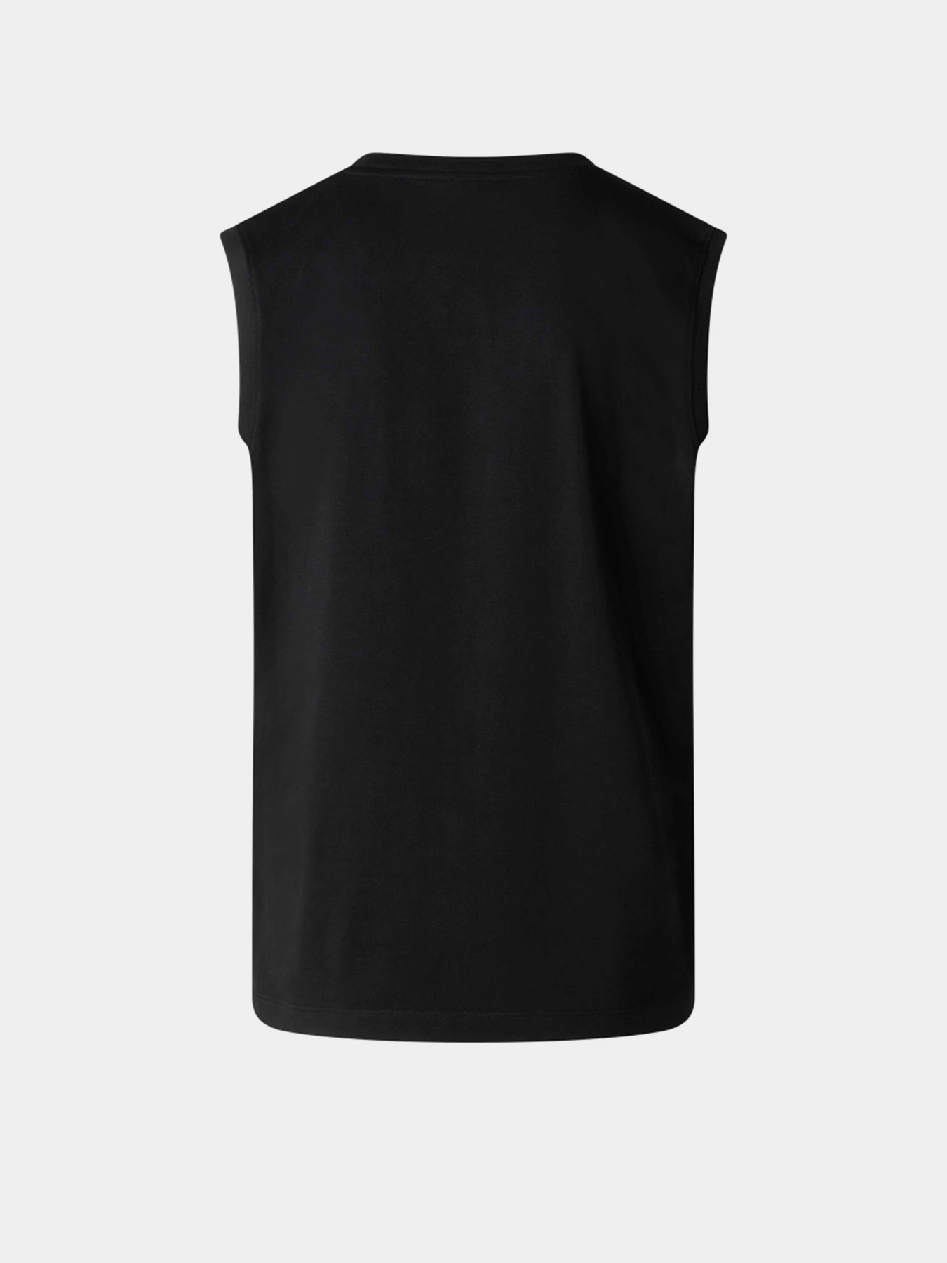 Футболки і поло The North Face M EVOLUTION SIMPLE DOME TANK модель NF0A8FD4JK31 Фото