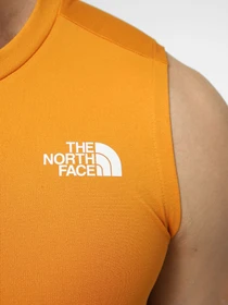 Футболки і поло The North Face M 24/7 TANK модель NF0A8BEHG5I1 Фото