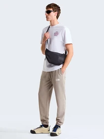 Брюки The North Face M SIMPLE DOME LIGHT REGULAR TA модель NF0A8C412MB1 Фото