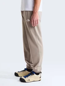 Брюки The North Face M SIMPLE DOME LIGHT REGULAR TA модель NF0A8C412MB1 Фото