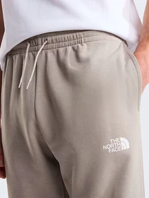 Брюки The North Face M SIMPLE DOME LIGHT REGULAR TA модель NF0A8C412MB1 Фото