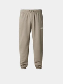 Брюки The North Face M SIMPLE DOME LIGHT REGULAR TA модель NF0A8C412MB1 Фото