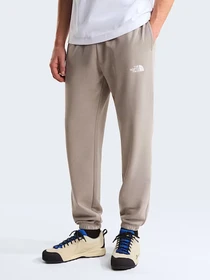 Брюки The North Face M SIMPLE DOME LIGHT REGULAR TA модель NF0A8C412MB1 Фото