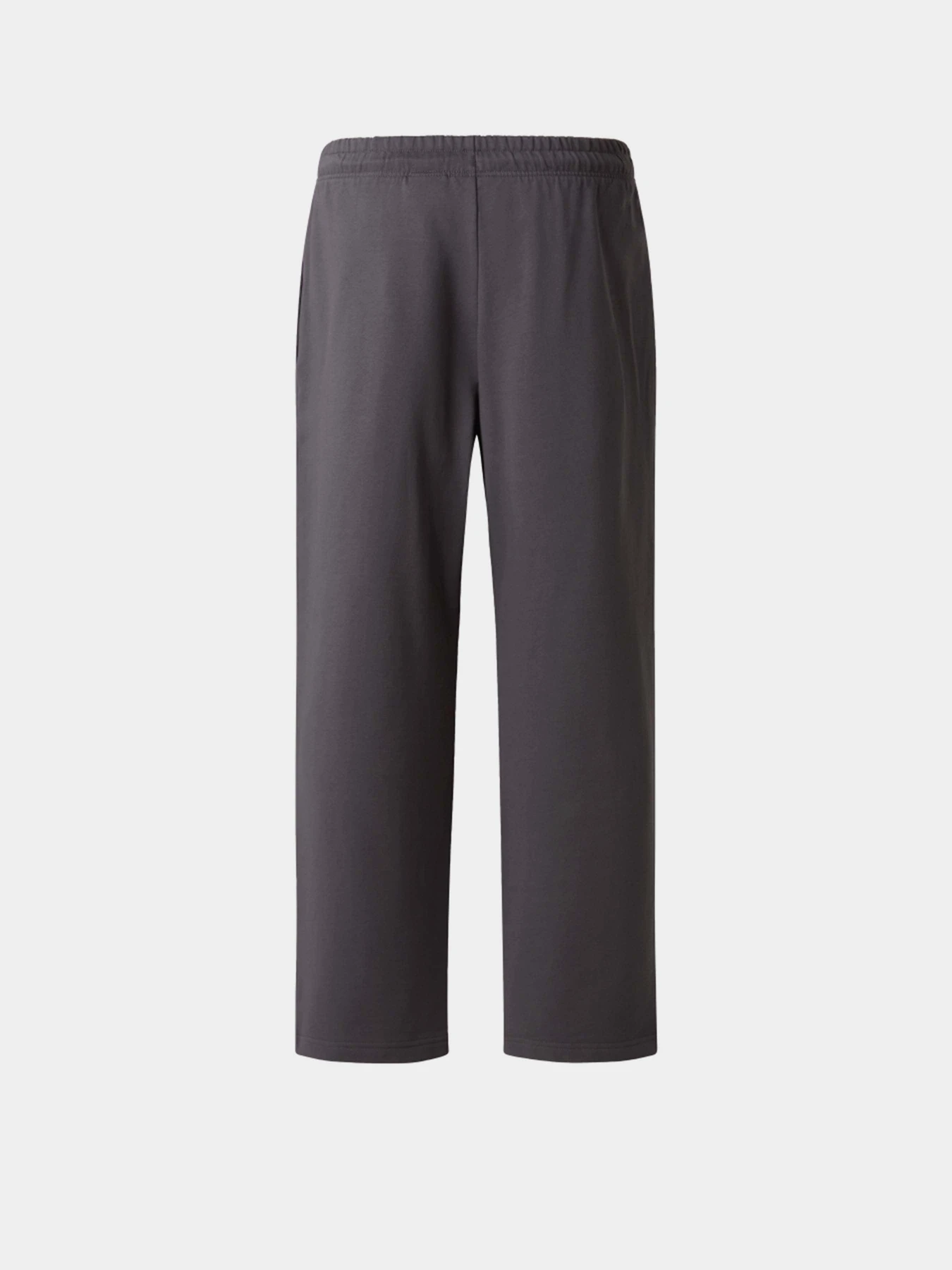 Брюки The North Face M ESSENTIAL LIGHT RELAXED STRA модель NF0A8GQHRHI1 Фото