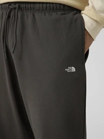 Брюки The North Face M ESSENTIAL LIGHT RELAXED STRA модель NF0A8GQHRHI1 Фото