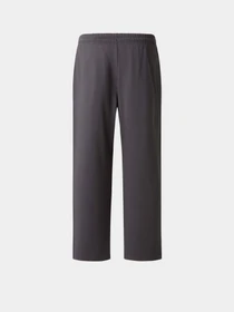 Брюки The North Face M ESSENTIAL LIGHT RELAXED STRA модель NF0A8GQHRHI1 Фото