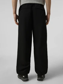 Брюки The North Face M TNF EASY WIND PANT модель NF0A8FBMJK31 Фото