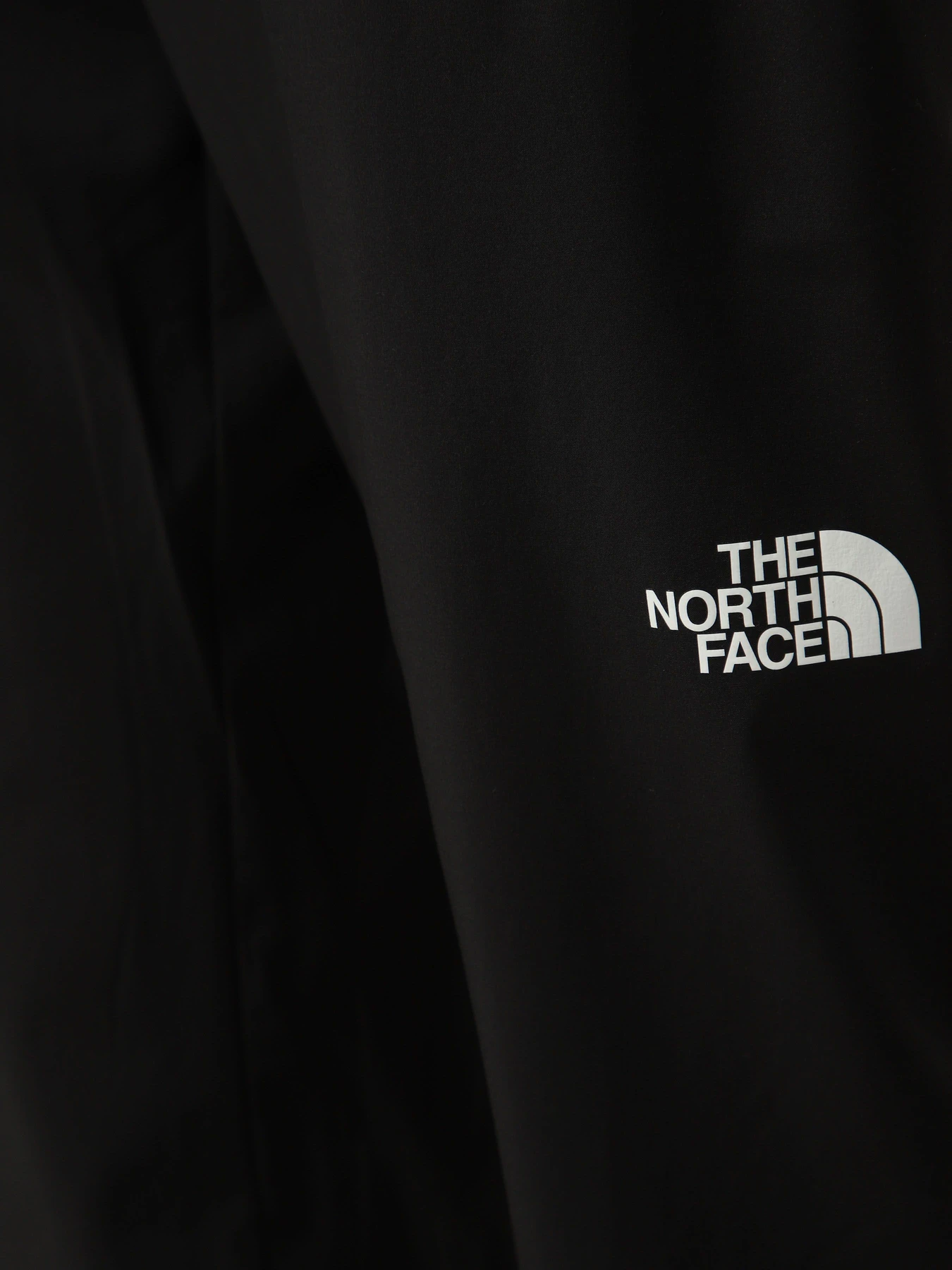 Брюки The North Face M 24/7 WOVEN JOGGER модель NF0A8FJHJK31 Фото